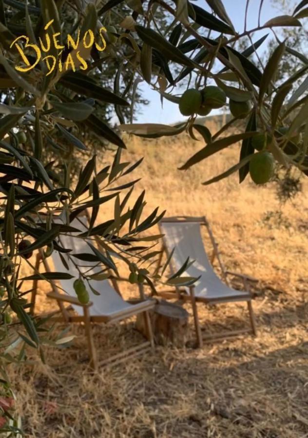 Tienda De Safari Almagro Otel Montecorto Dış mekan fotoğraf